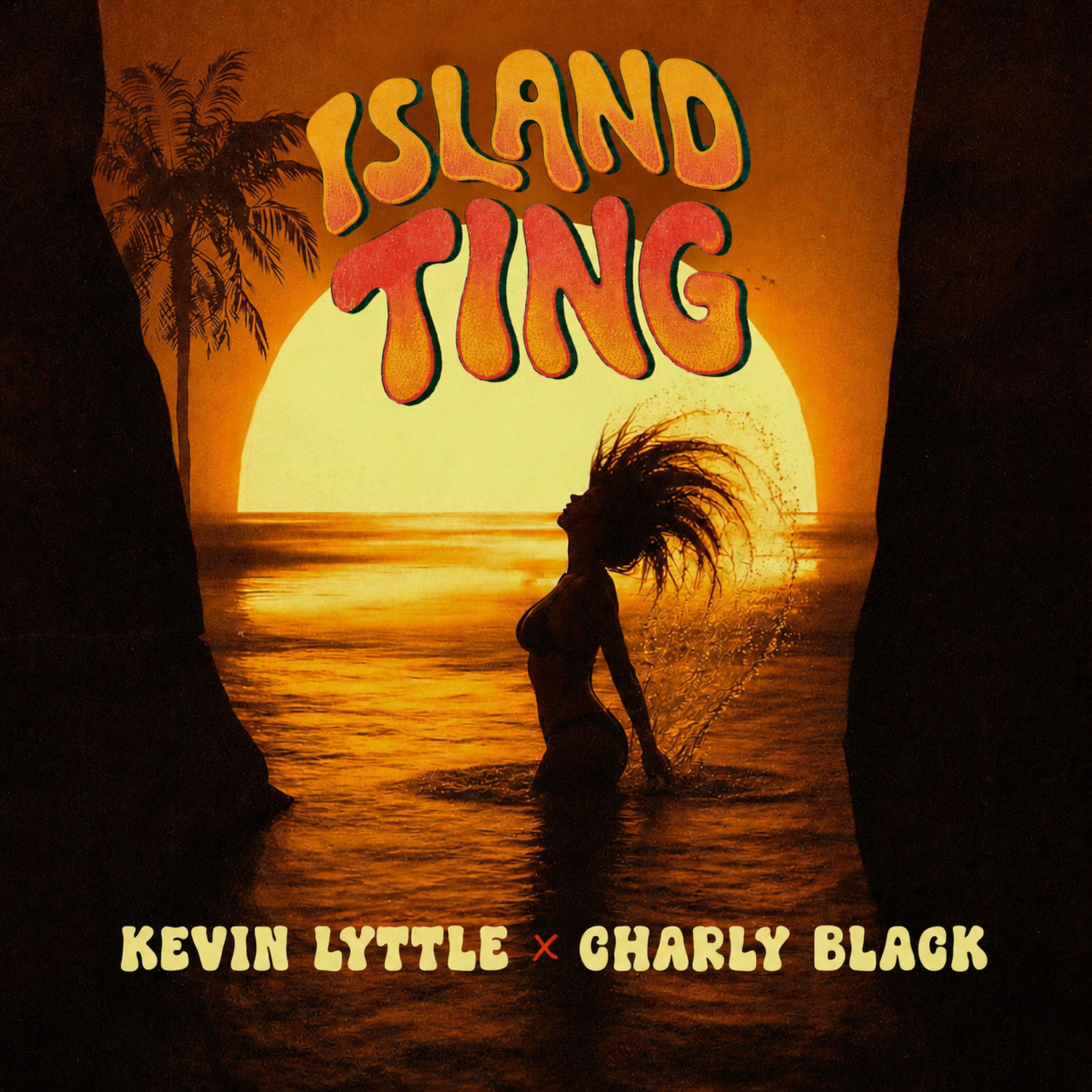Album cover of Island Ting