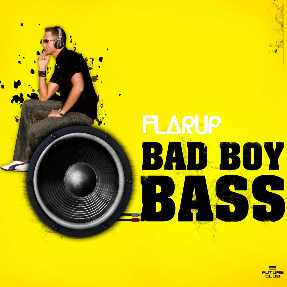 Picture of Bad Boy Bass