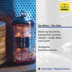 Cover of Die Röhre