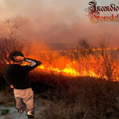 incendio forestal