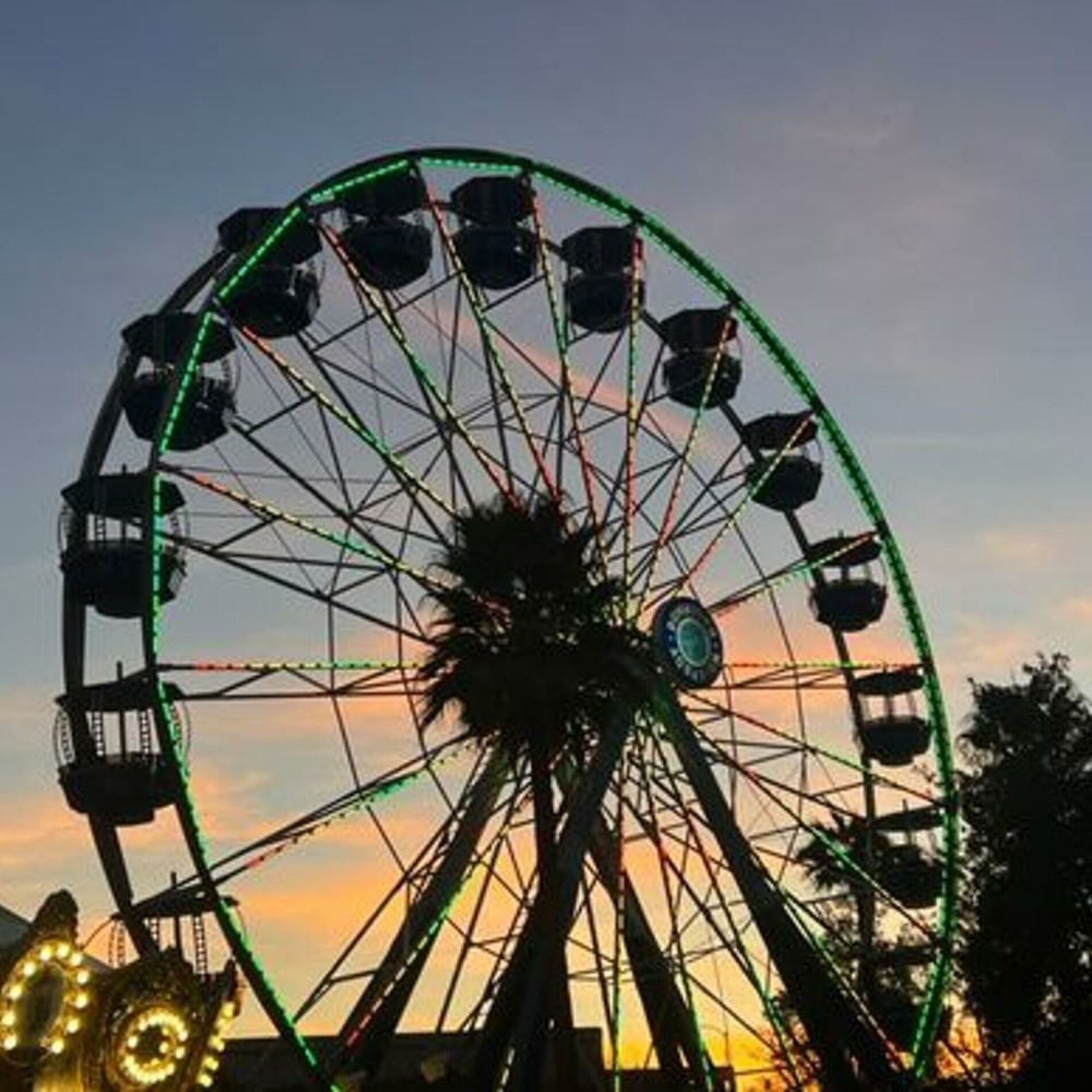 Album cover of carolina