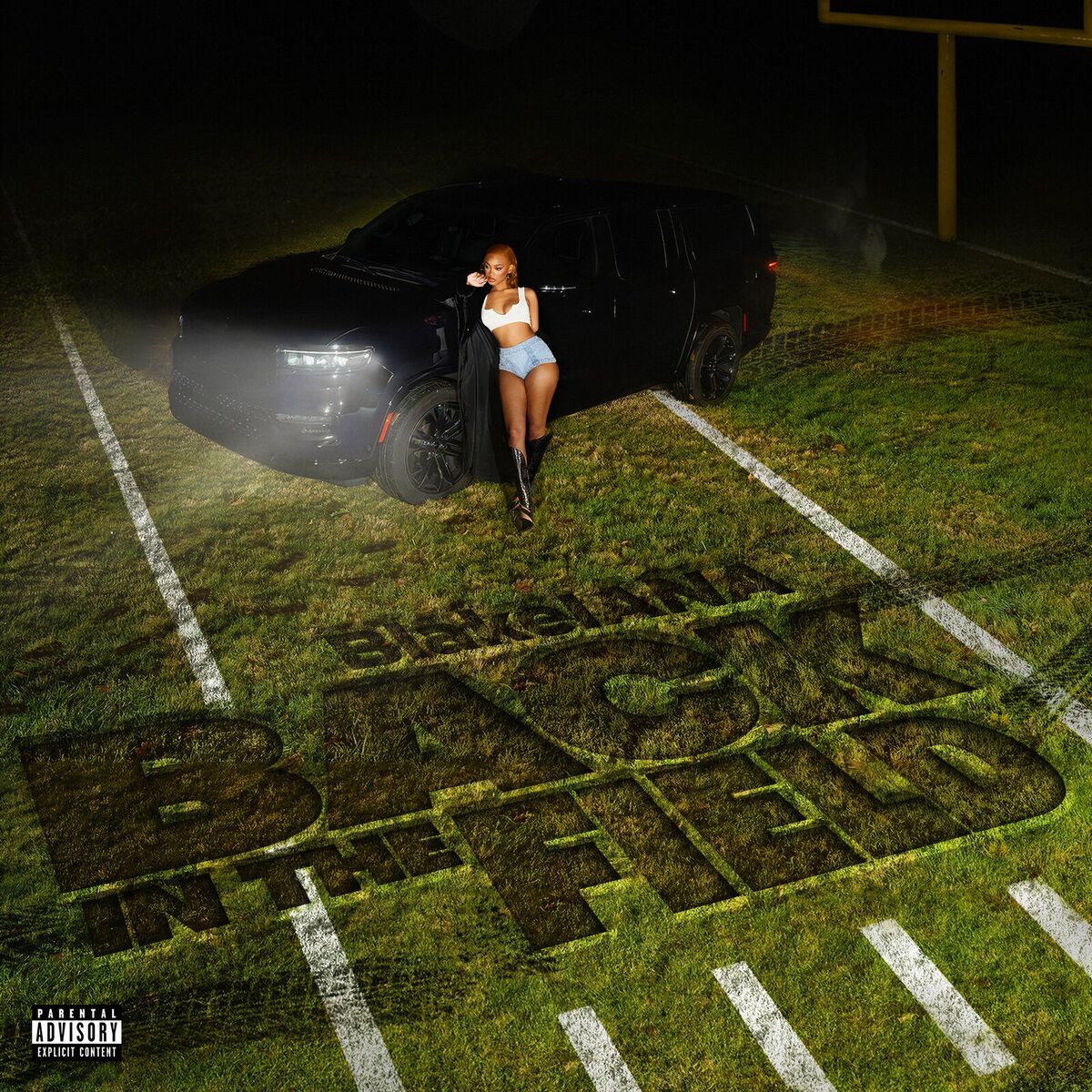 Album cover of Back In The Field