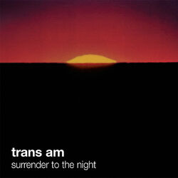 Cover of Surrender To The Night