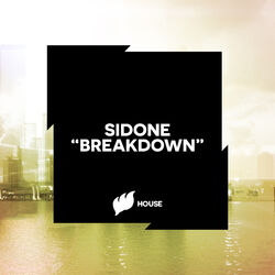 Cover of Breakdown