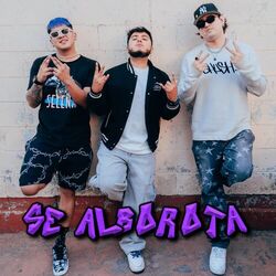 Cover of Se Alborota