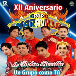 Cover of Xii Aniversario un Grupo Como Tu