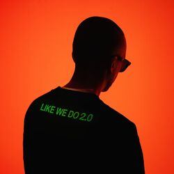 Cover of Like We Do 2.0