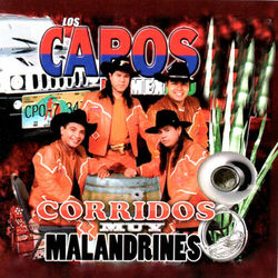 Cover of Corridos Malandrines