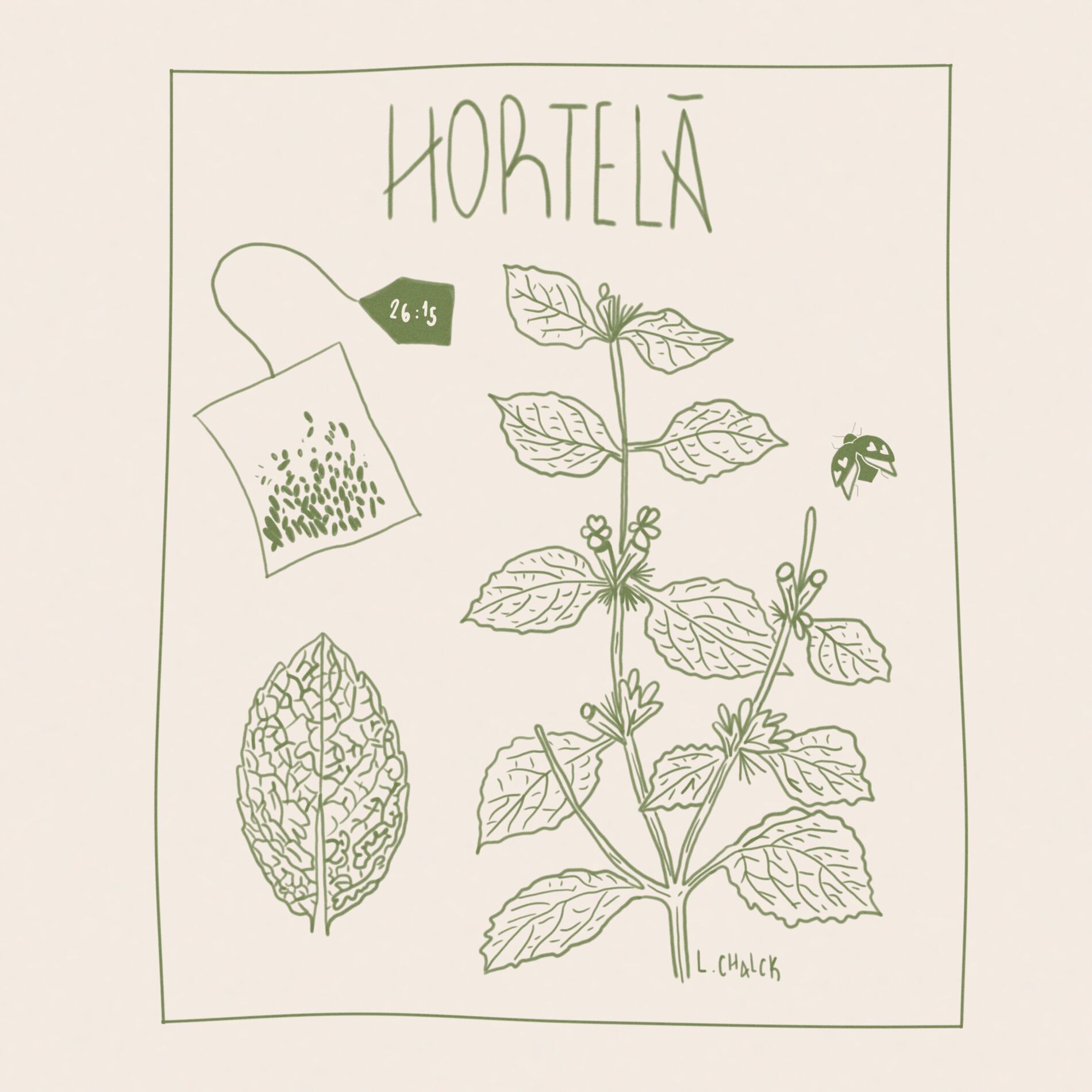 Album cover of Hortelã