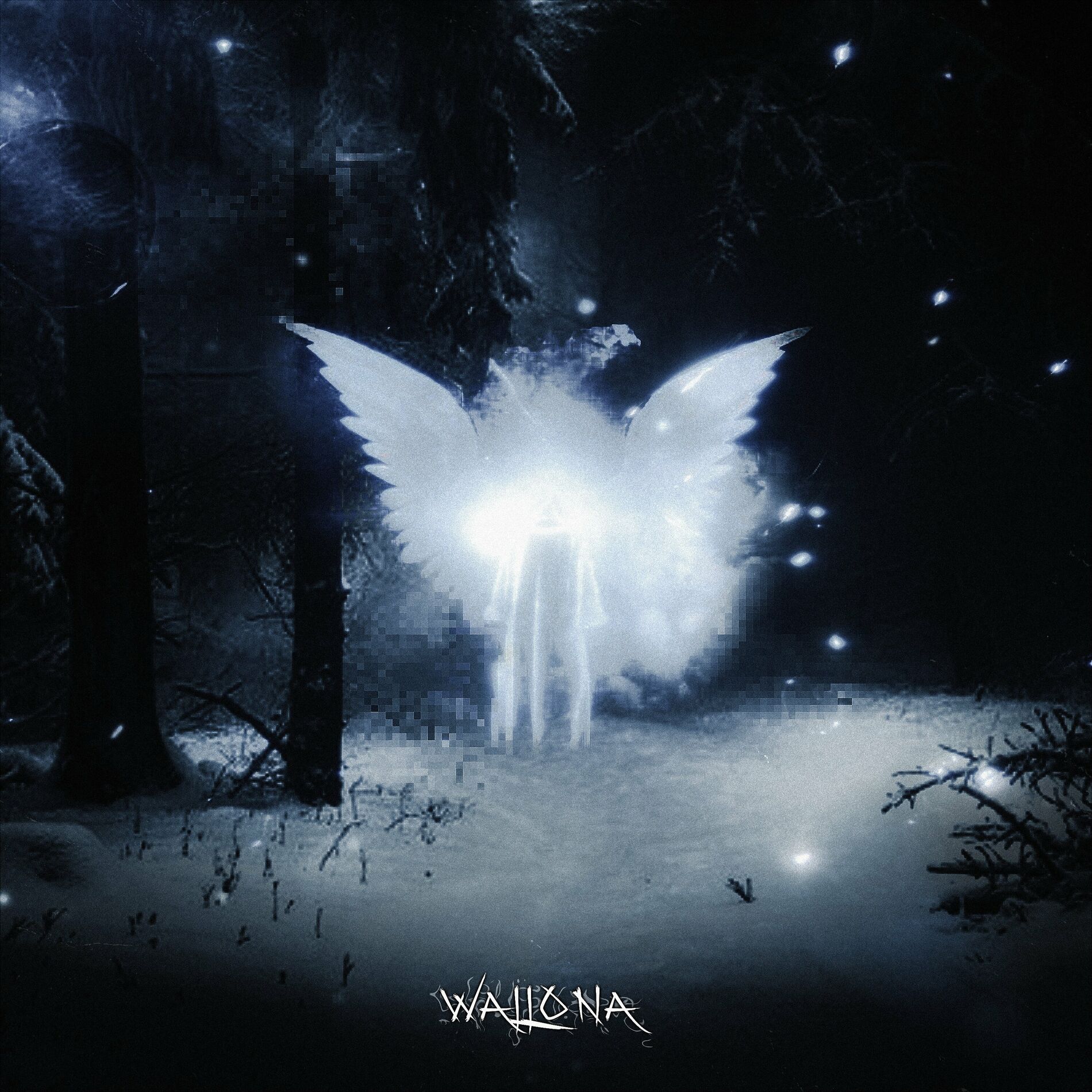 Album cover of wallona