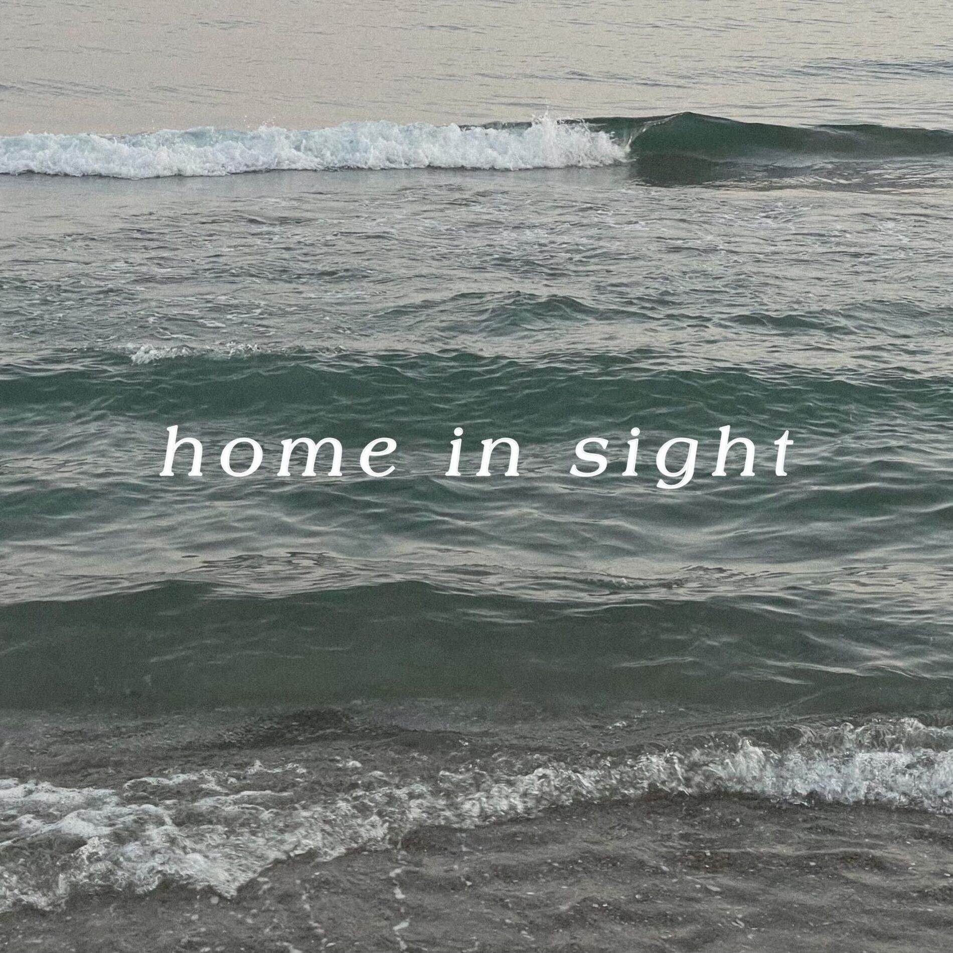 Album cover of home in sight