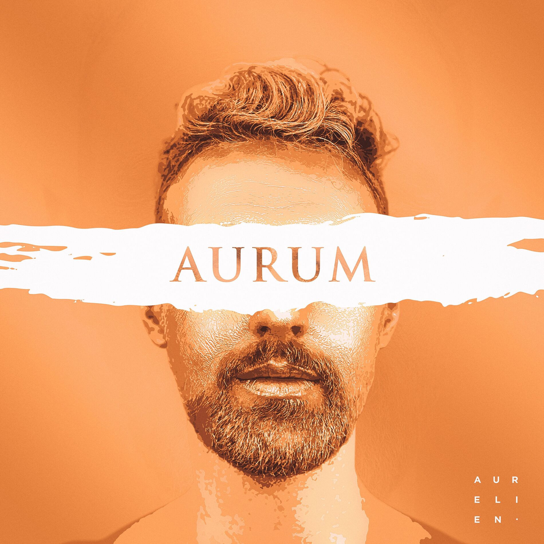 Album cover of Aurum