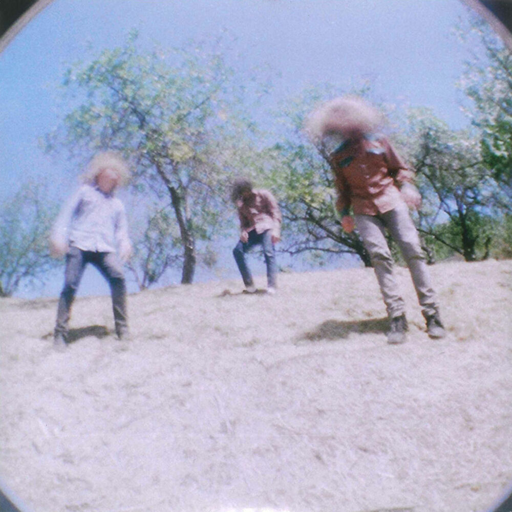 Picture of Sunderberry Dream