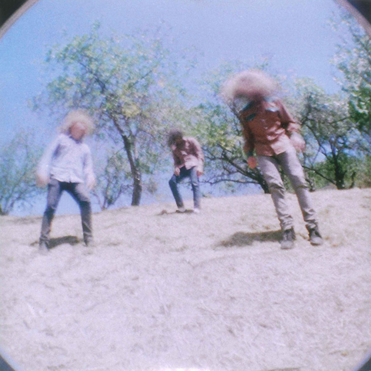 Album cover of Sunderberry Dream