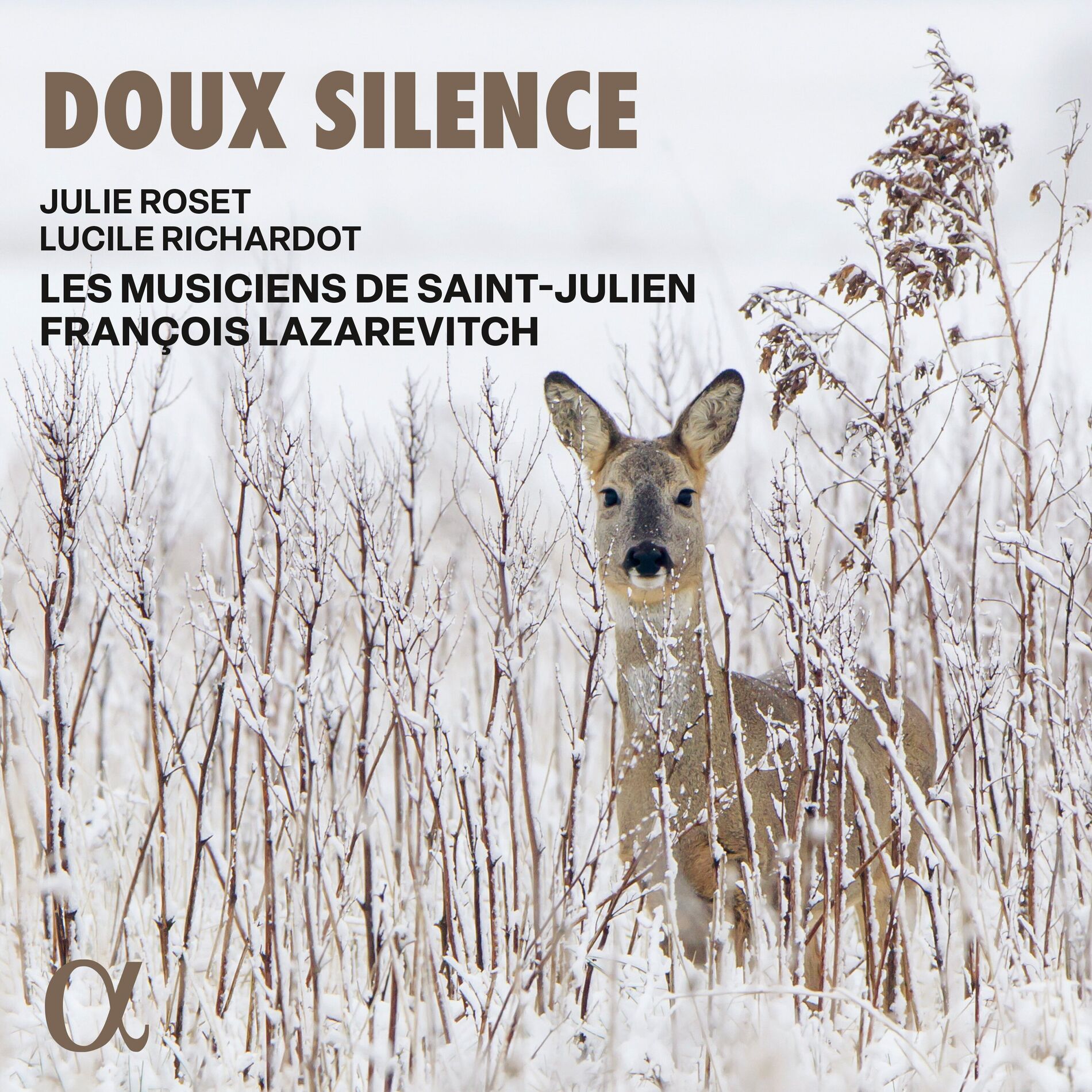 Album cover of Le doux silence de nos bois