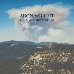 Cover of You & Me (The Wildfire)
