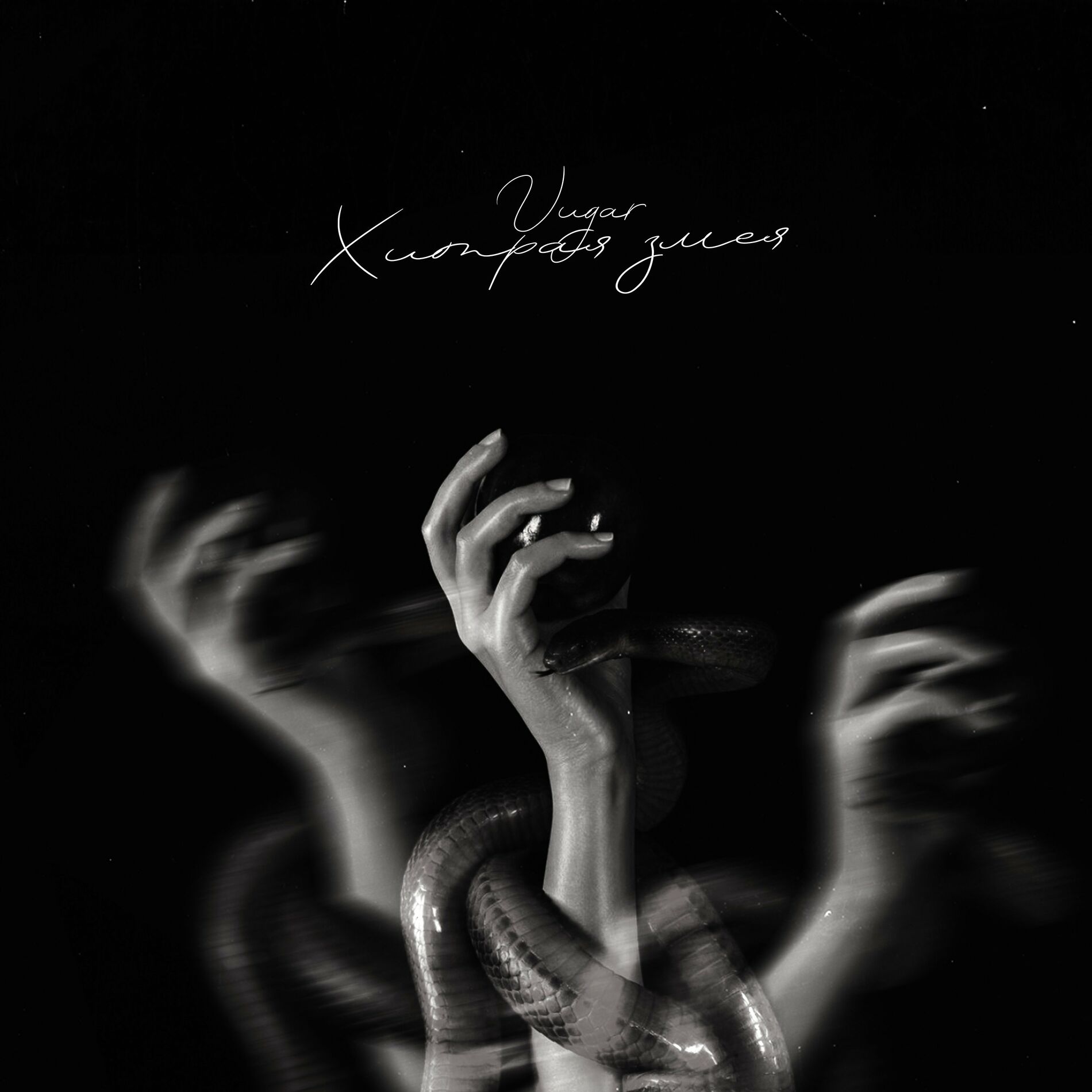 Album cover of Хитрая змея