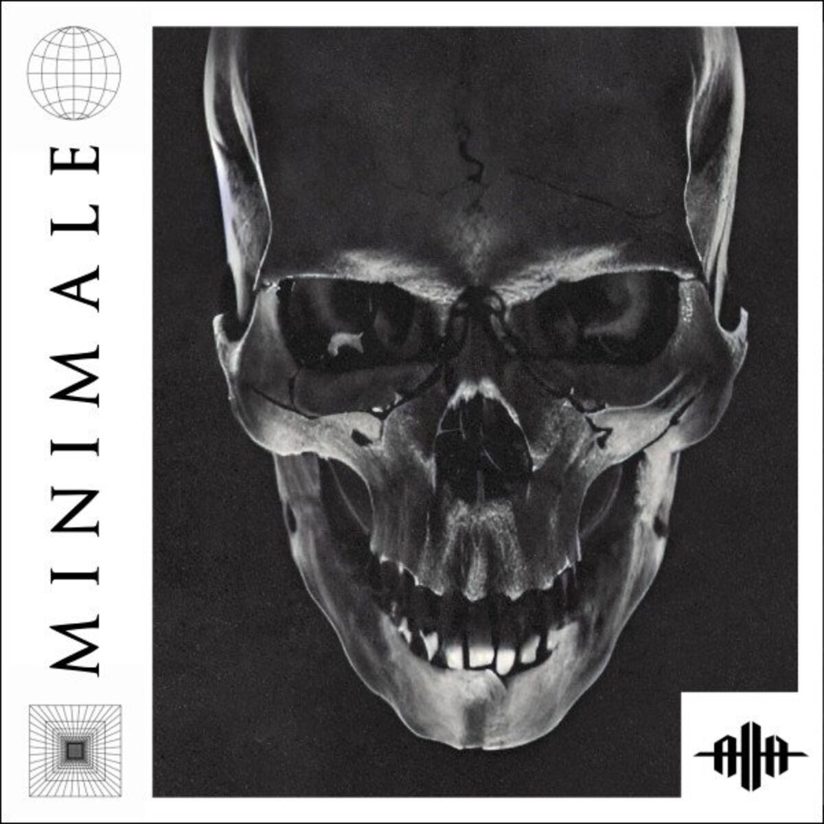 Album cover of Stinger