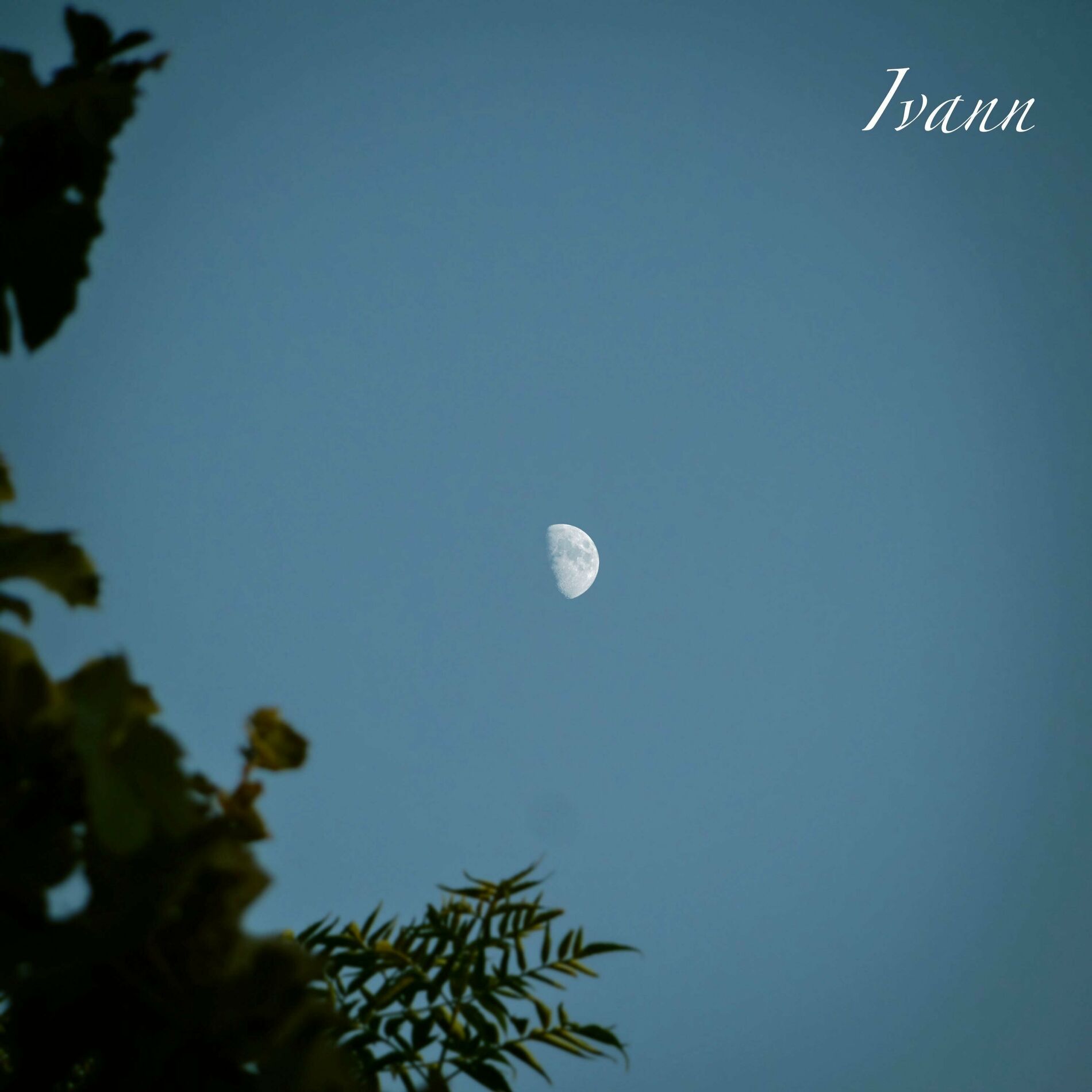 Album cover of Amor sincero
