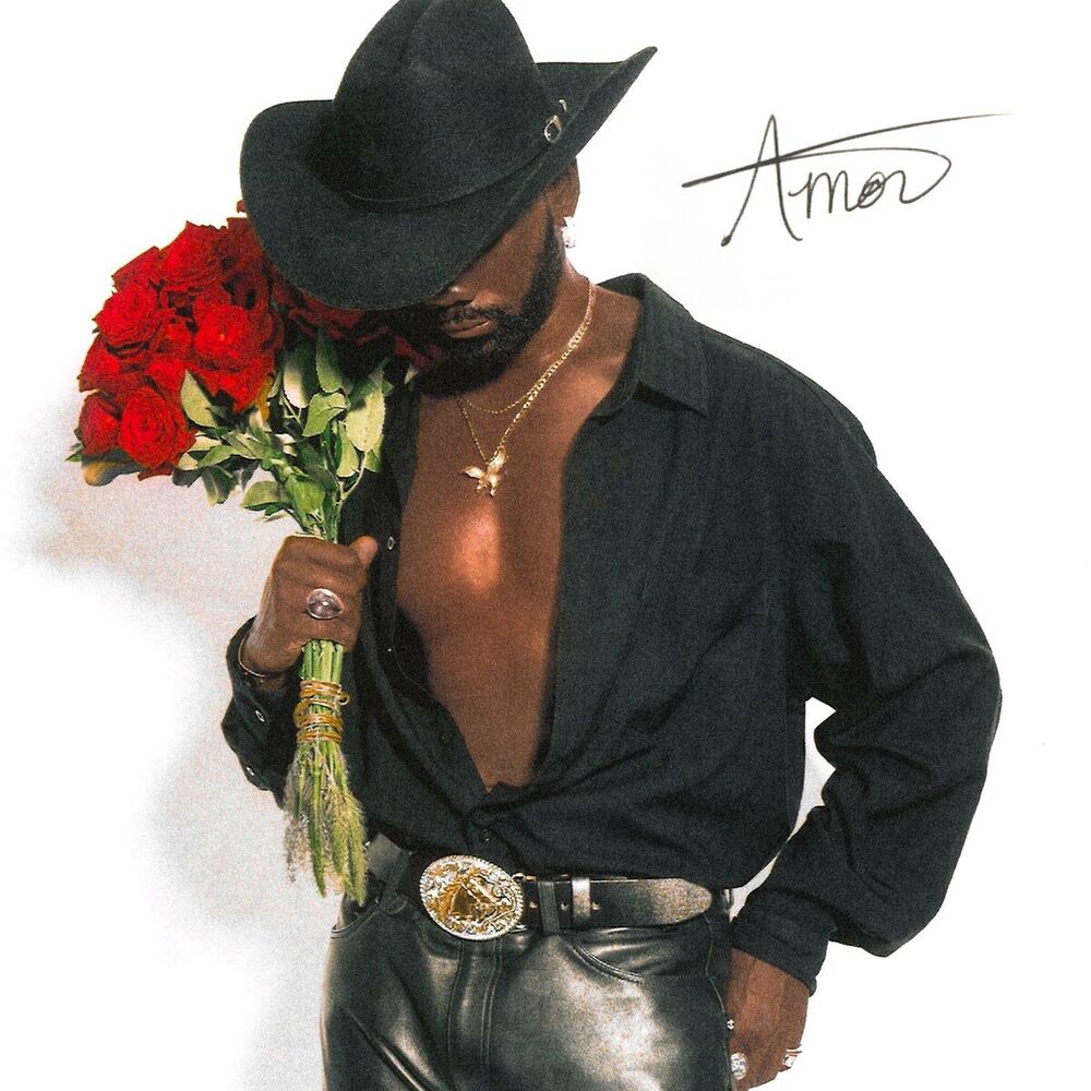 Picture of Amor