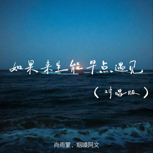 如果来生能早点遇见（对唱版）