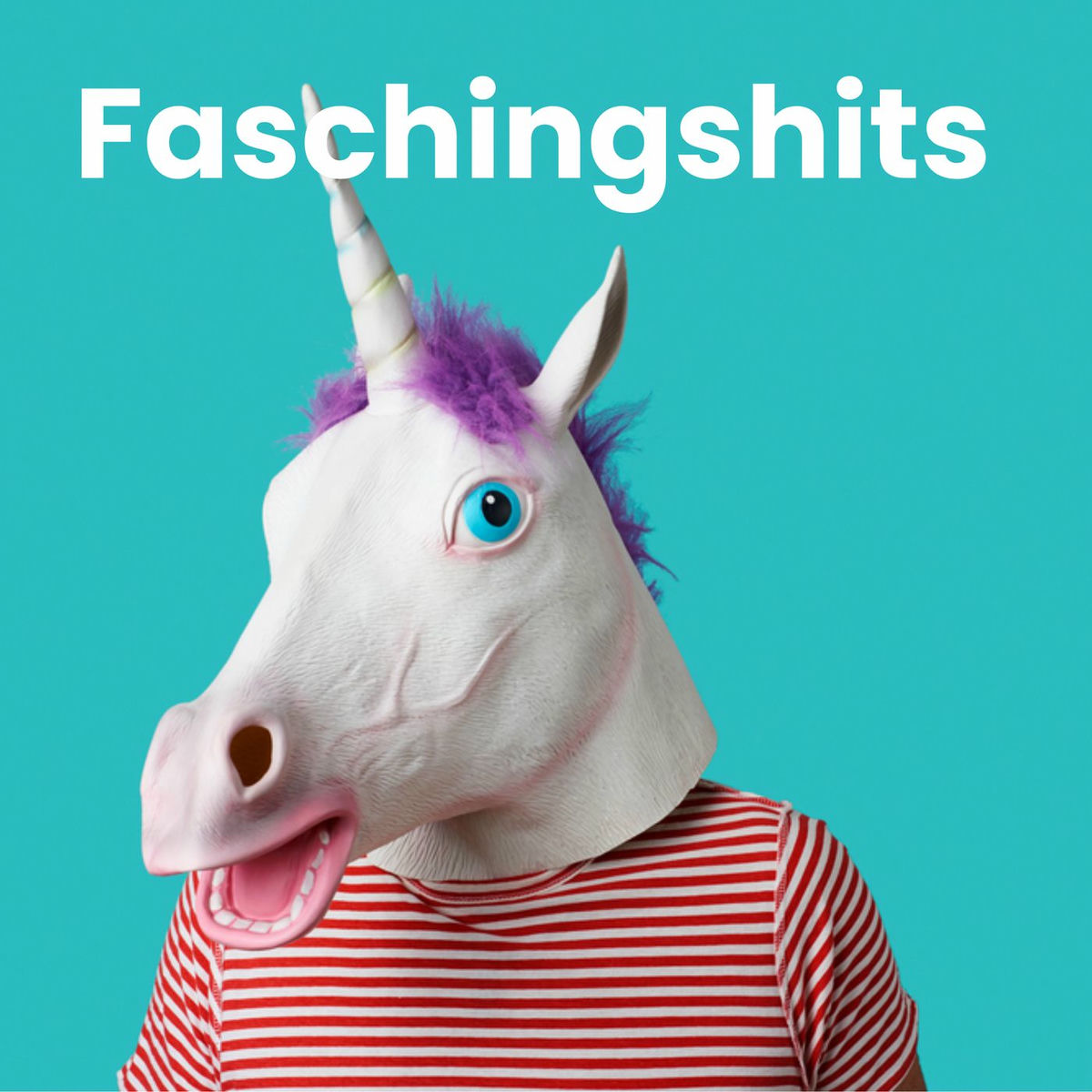 Album cover of Faschingshits