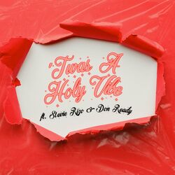 Cover of 'Twas A Holy Vibe