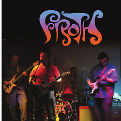 Cover of Froth