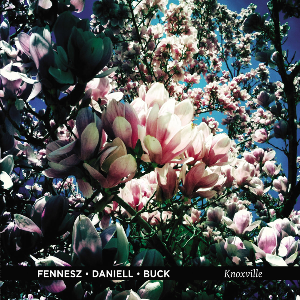 Album cover of Knoxville