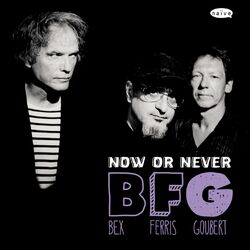 Cover of BFG: Now or Never