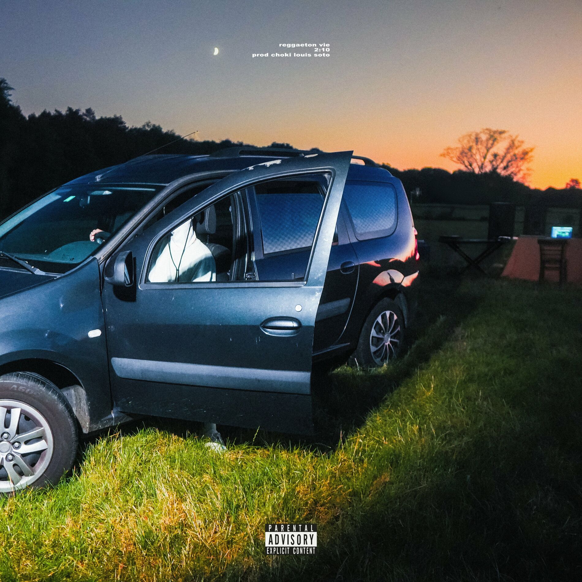 Album cover of REGGAETON VIE