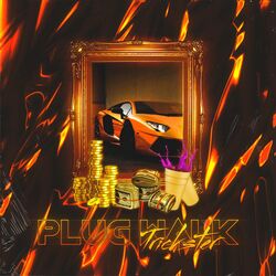 Cover of Plug Walk