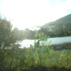 Cover of looking towards the flickering lights on the horizon, obscured