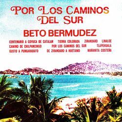 Cover of Por los Caminos del Sur