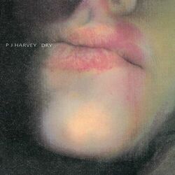 Cover of Dry