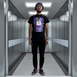 Cover of elevator music