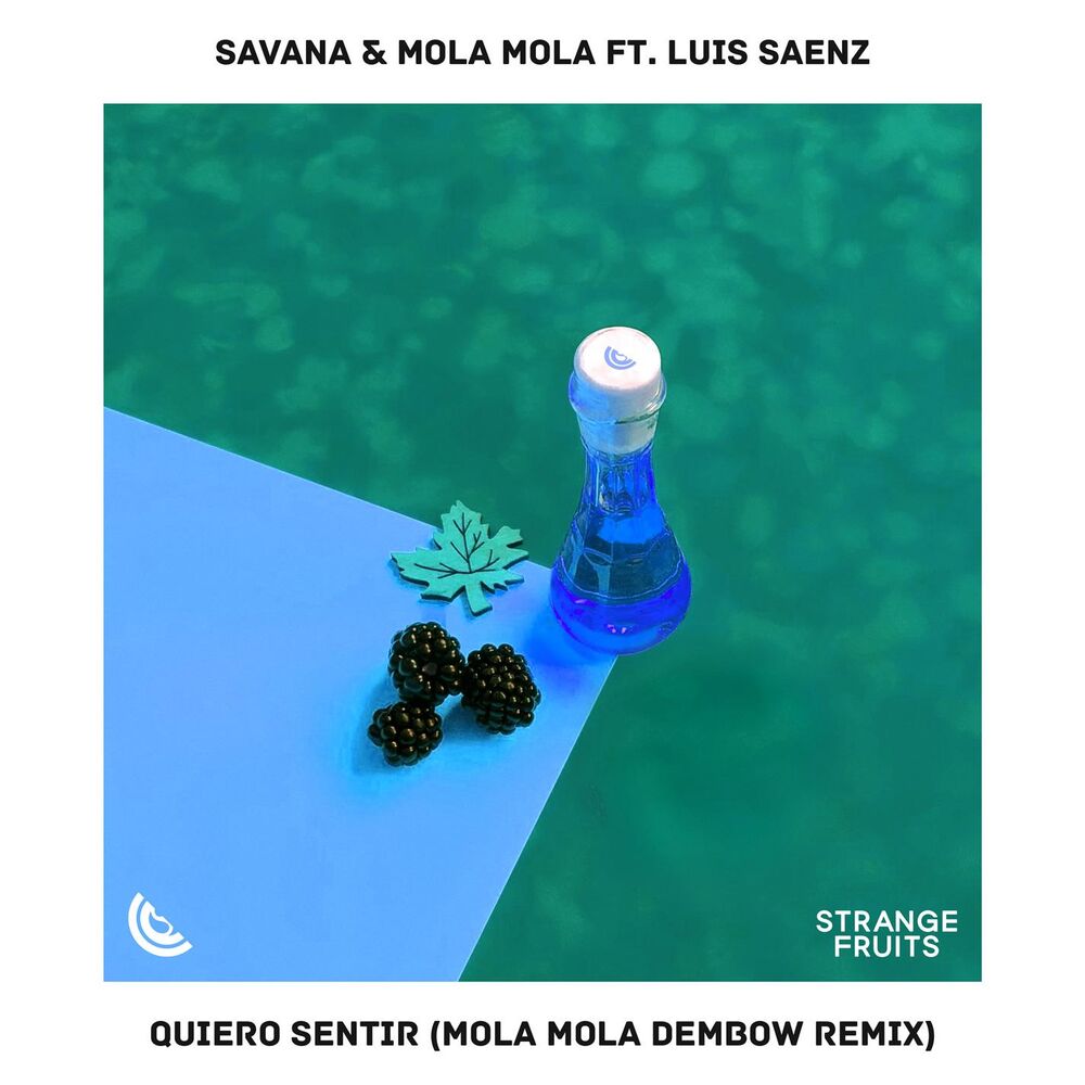 Picture of Quiero Sentir (feat. Luis Saenz) (Mola Mola Remix)