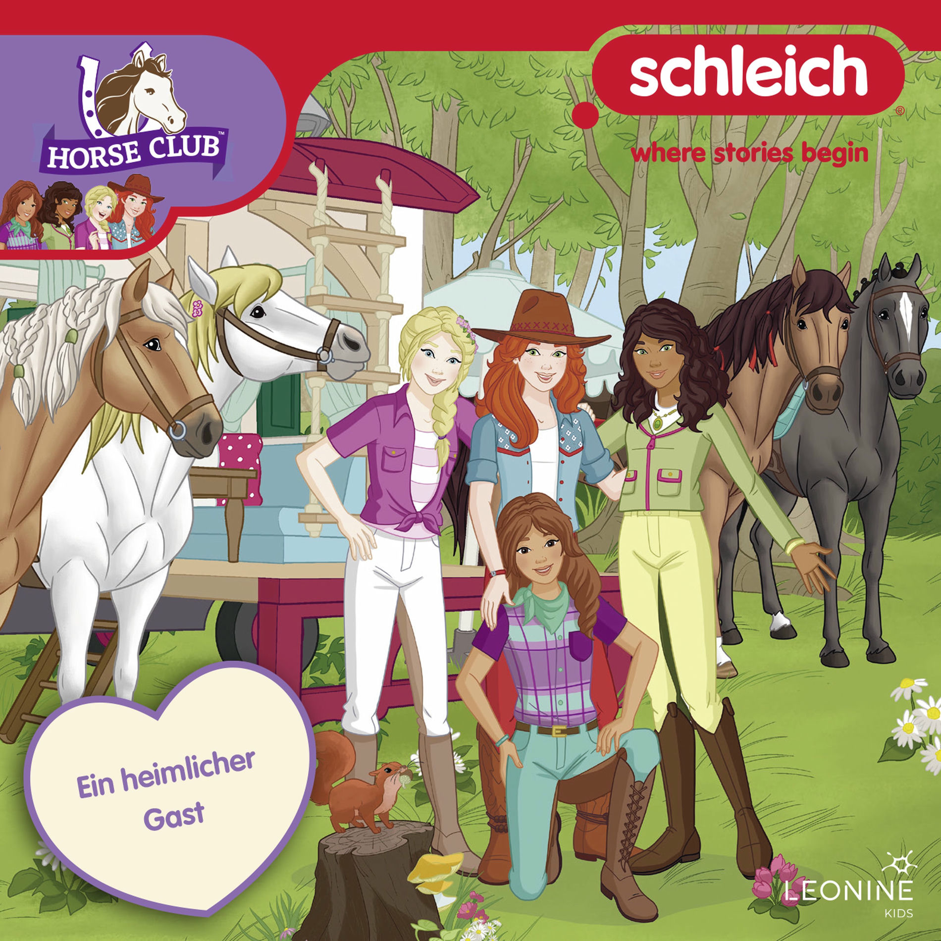 Album cover of Inhaltsangabe - Ein heimlicher Gast (Folge 23)
