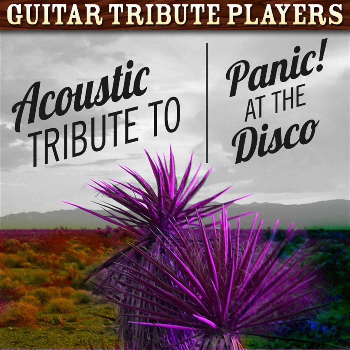 Album cover of Acoustic Tribute to Panic! At the Disco