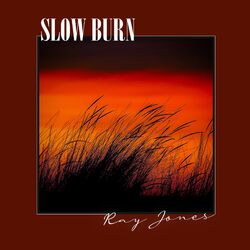 Cover of Slow Burn