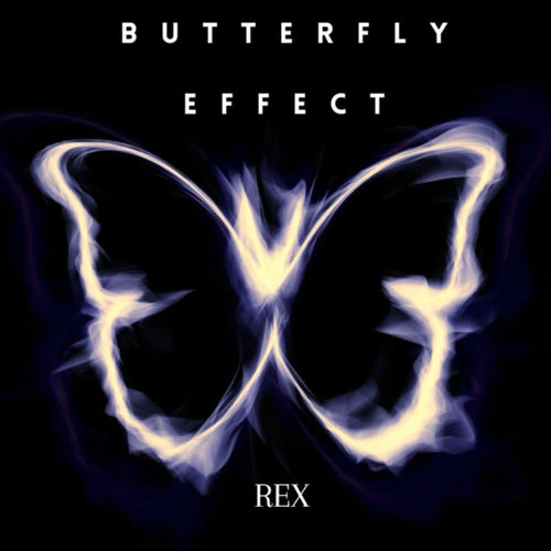 Butterfly Effect