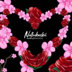 music cover