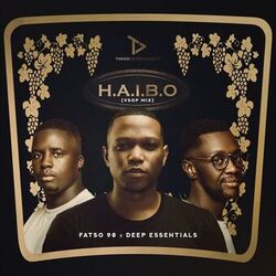 Cover of HAIBO (VSOP Mix)