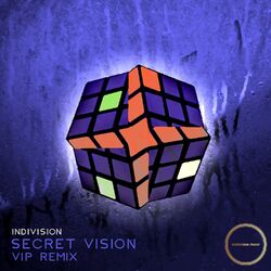 Cover of Secret Vision (VIP Remix)