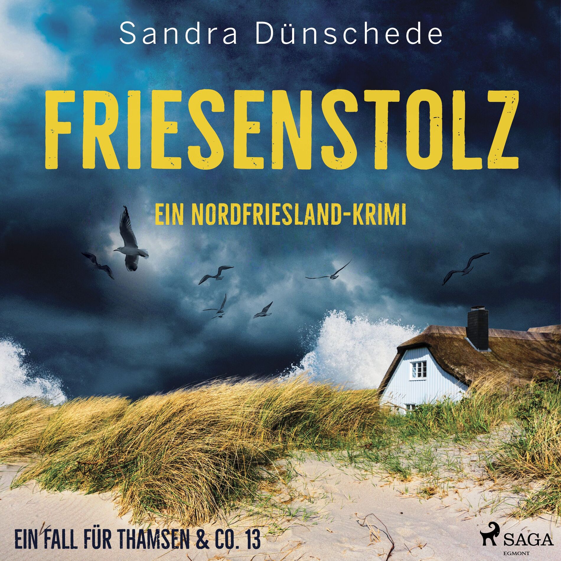 Album cover of Friesenstolz: Ein Nordfriesland–Krimi (Ein Fall für Thamsen & Co. 13)