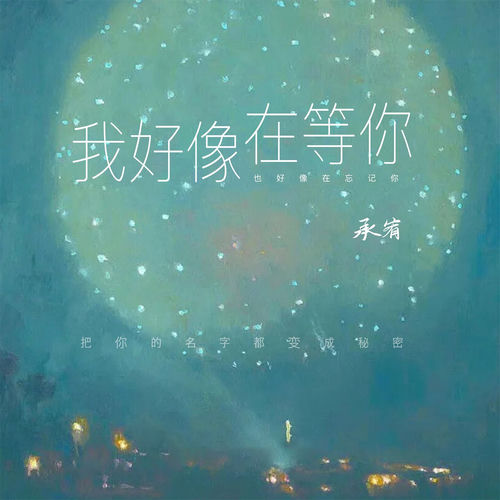 我好像在等你