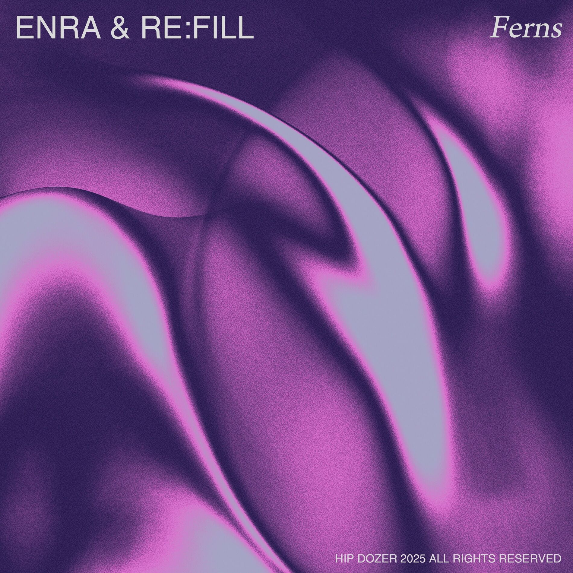 Album cover of Ferns