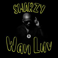 Cover of Wan Luv