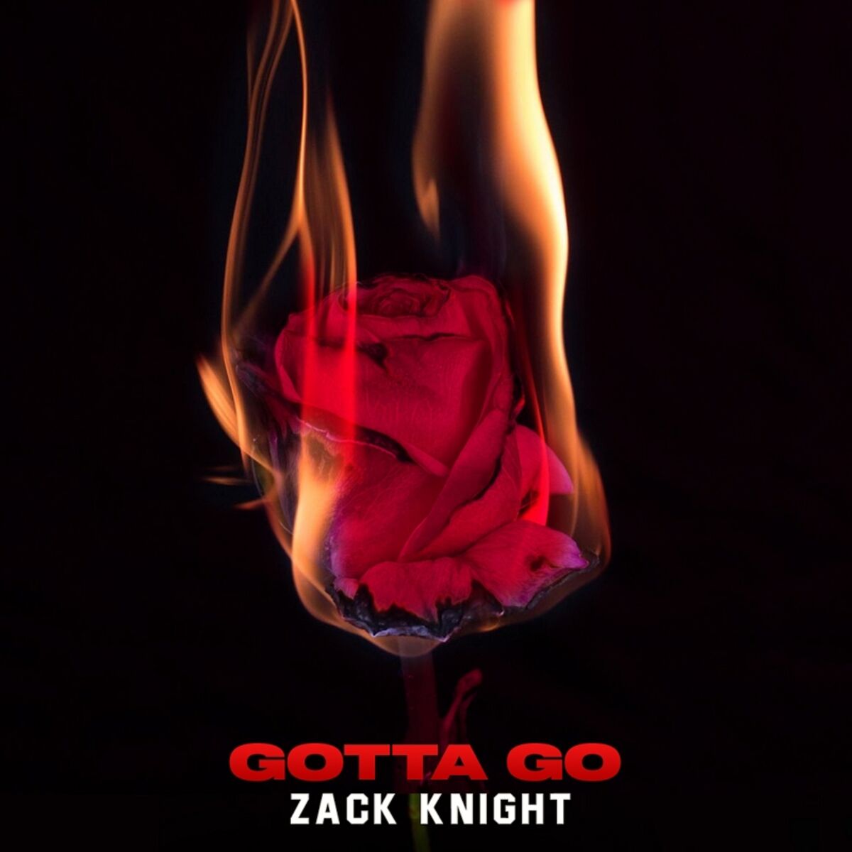 Album cover of Gotta Go