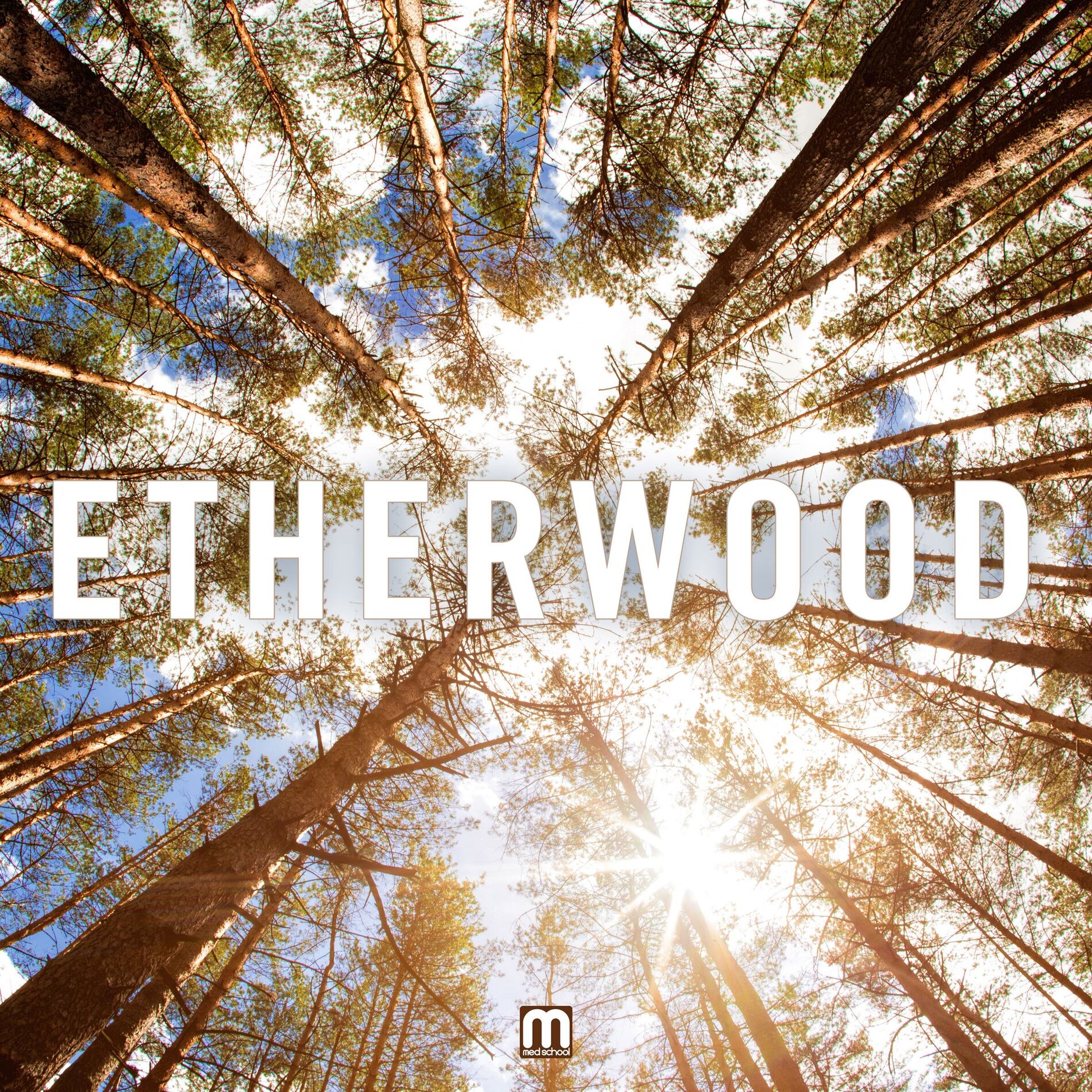 Album picture of Etherwood